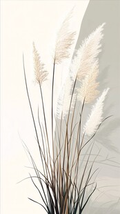 优雅白色蒲苇植物装饰图