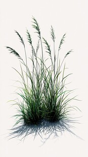 风中摇曳的翠绿野草