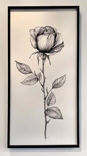 单枝玫瑰素描画