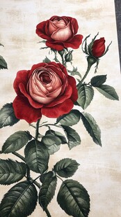 复古风红玫瑰花卉插画
