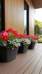 木质露台边的多彩盆栽
