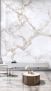 奢华大理石客厅墙面装饰