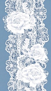 白色蕾丝花卉图案纹理