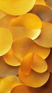 金色花瓣纹理抽象艺术图