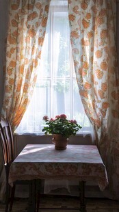 窗边温馨小景 花朵相伴