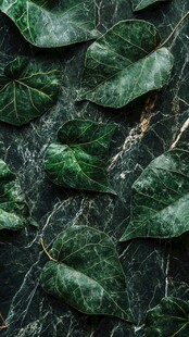 绿叶覆于大理石纹理之上