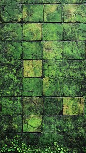 翠绿苔藓覆盖的古朴砖墙