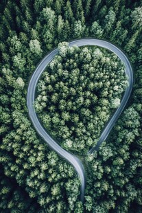 林中蜿蜒公路鸟瞰美景
