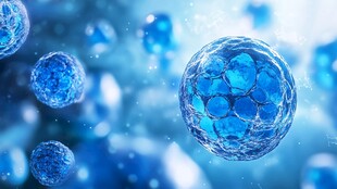 蓝色细胞微观世界图景