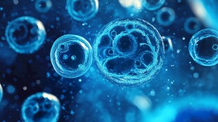 蓝色梦幻细胞微观景象