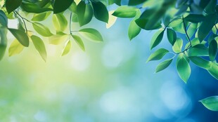 清新绿叶 梦幻自然背景