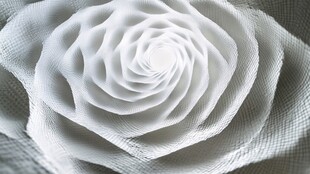 白色立体纸艺玫瑰花特写