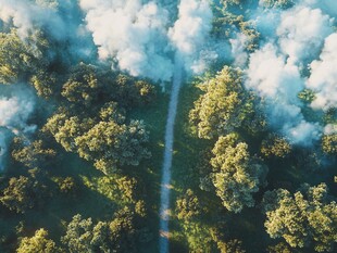 空中俯瞰林间迷雾小径