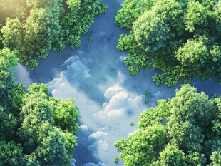 俯瞰葱郁森林中的天空