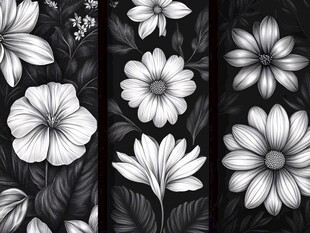 黑白花卉图案装饰画