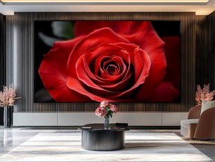 客厅中大幅红玫瑰装饰画