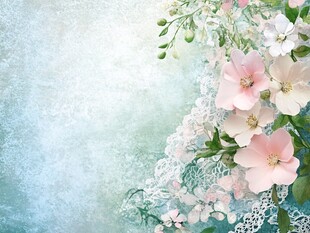 淡彩花卉与蕾丝梦幻背景