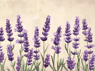 紫色薰衣草插画背景图