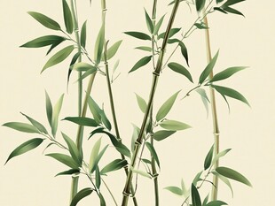 水墨风清新翠竹插画