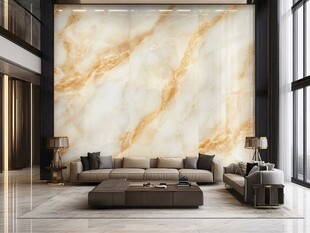 奢华大理石客厅家居装饰