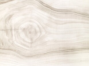 浅白木纹纹理精美图案