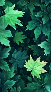 绿叶交织的自然清新图景