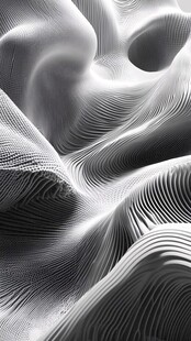 黑白线条构成的流动纹理