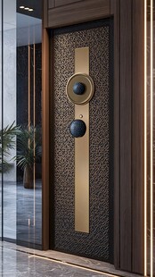 现代奢华入户金属装饰门