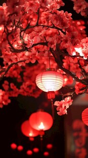 红灯笼映粉花夜景美