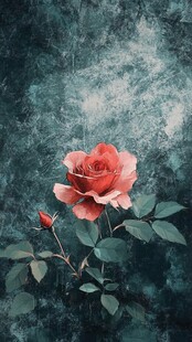 独枝粉玫瑰的梦幻背景