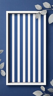 蓝白条纹框饰与银叶装饰