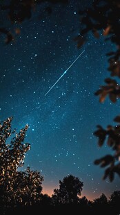 夜空中的流星与树木美景