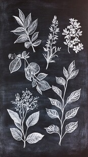 黑板上的手绘植物花卉图