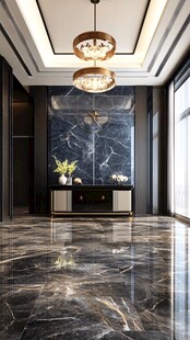 豪华大理石玄关室内场景