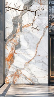 奢华大理石墙面与树枝装饰