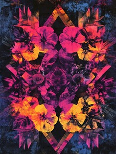 绚丽花卉几何图案艺术画