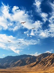 蓝天飞鸟伴远山美景
