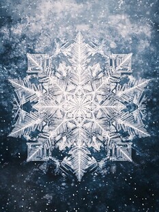 梦幻雪花图案 冬日浪漫氛围