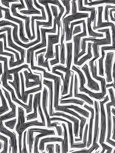 黑白线条迷宫风图案纹理