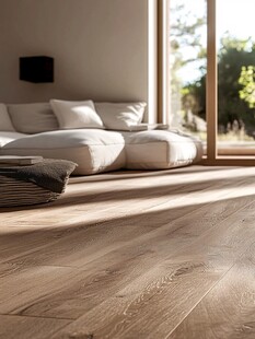 温馨客厅木地板与舒适沙发