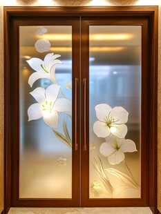 雕花玻璃双开门