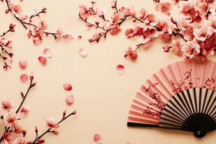 春日烂漫 桃花与折扇之美