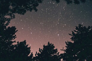 林间夜空繁星闪烁