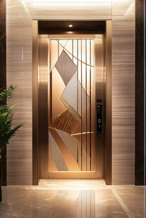 奢华现代风入户金属门