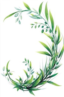 绿叶环绕的优雅弧形花环