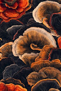 绚丽多彩的灵芝图案艺术