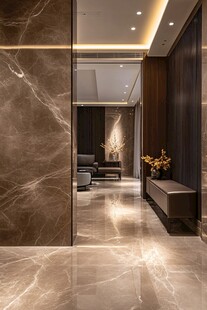 奢华大理石装饰的现代门厅