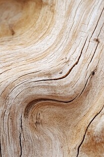 木纹细节 岁月雕琢的纹理之美