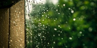 窗边雨景 水珠滴落绿意浓