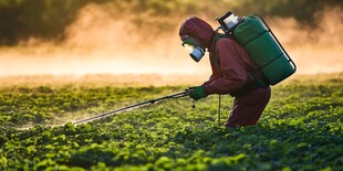 夕阳下的农田农药喷洒者